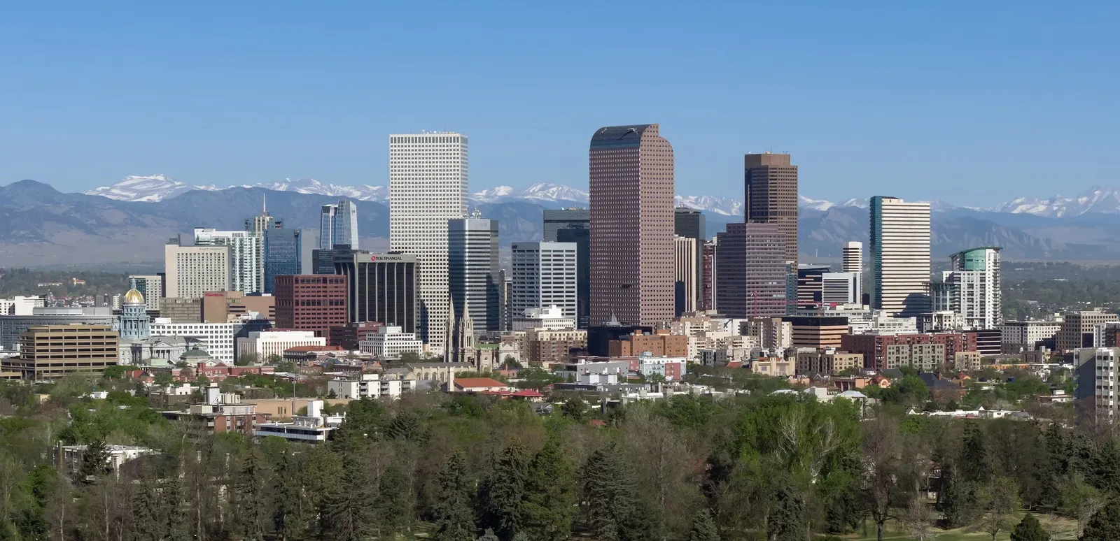 Downtown Denver skyline rising above the trees of City Park, with snow-capped mountains behind